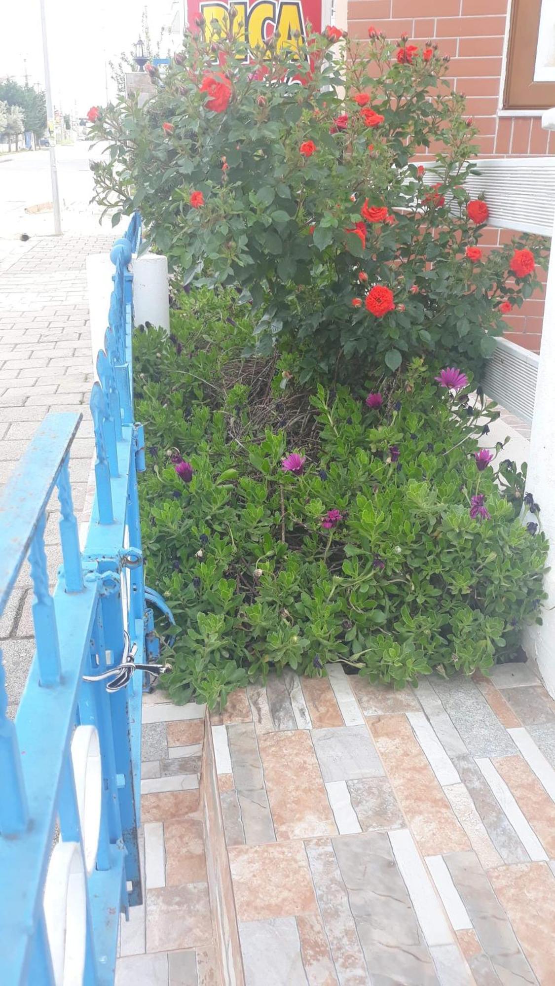 Vila Shuka Ksamil Sarande Exterior photo