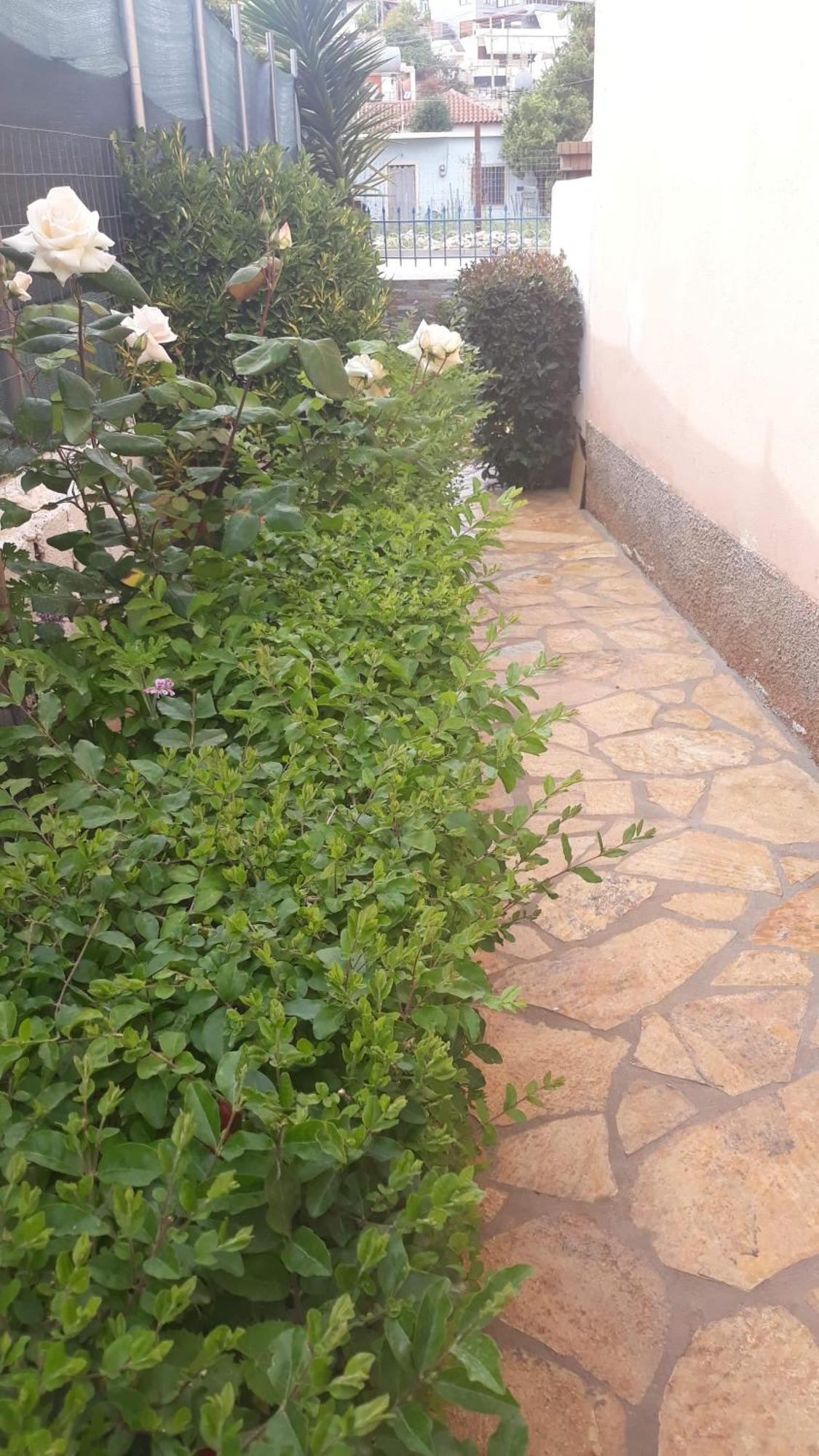 Vila Shuka Ksamil Sarande Exterior photo